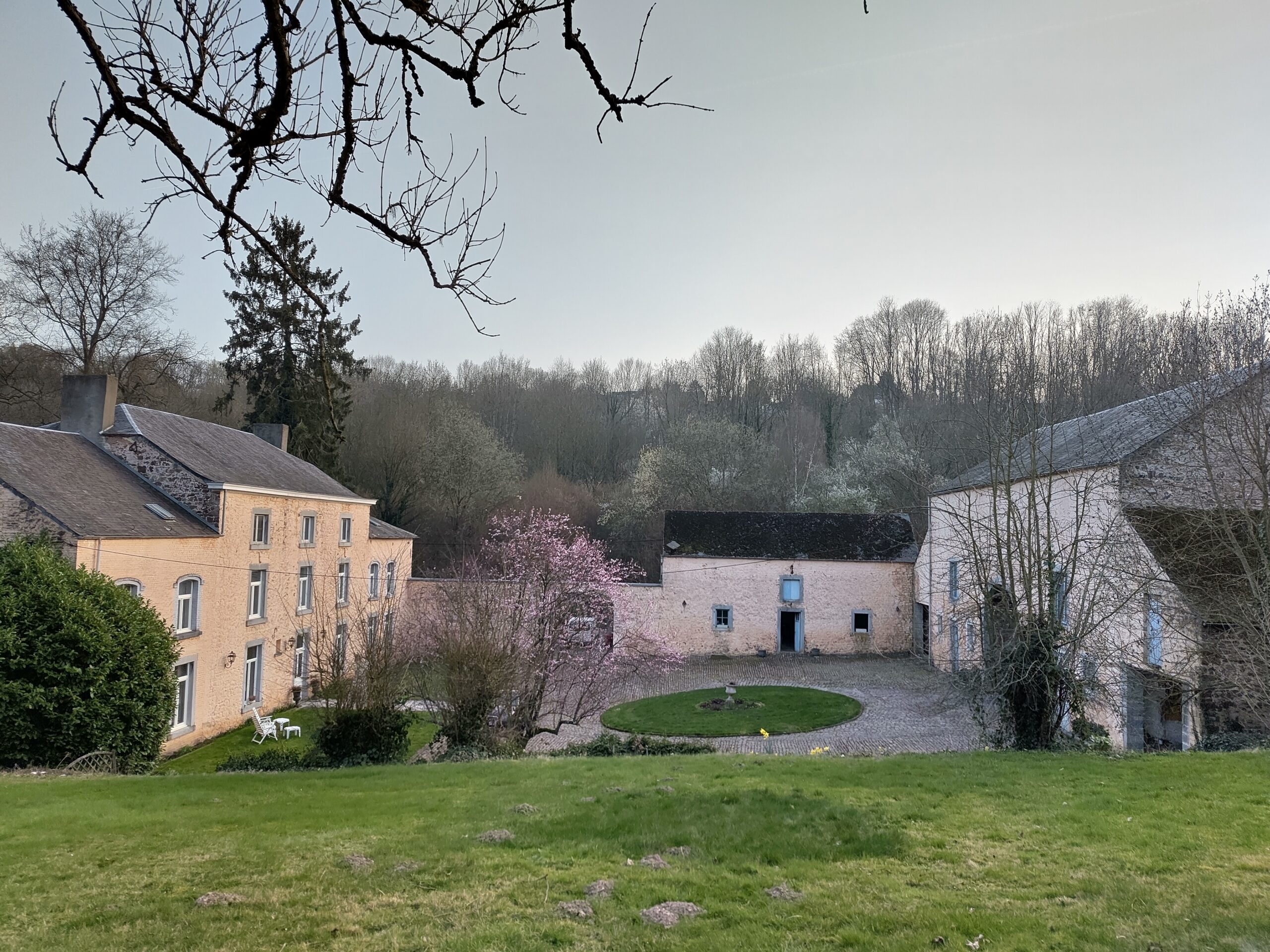 IMG_20260308_175212 (1)